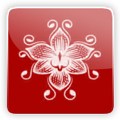 Orchid Vapor E Liquids Orchid Vapor E Liquids