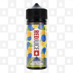 Blueberry Citrus Pineapple | Fruits by RedJuice E Liquid | 100ml Short Fill, Strength & Size: 0mg • 100ml (120ml Bottle)